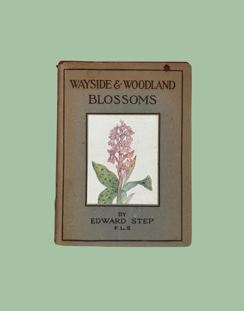 A vintage book titled 'Wayside & Woodland Blossoms' by Edward Step, featuring a muted brown cover with a central botanical illustration of a pink flower and green leaves, set against a solid sage green background.