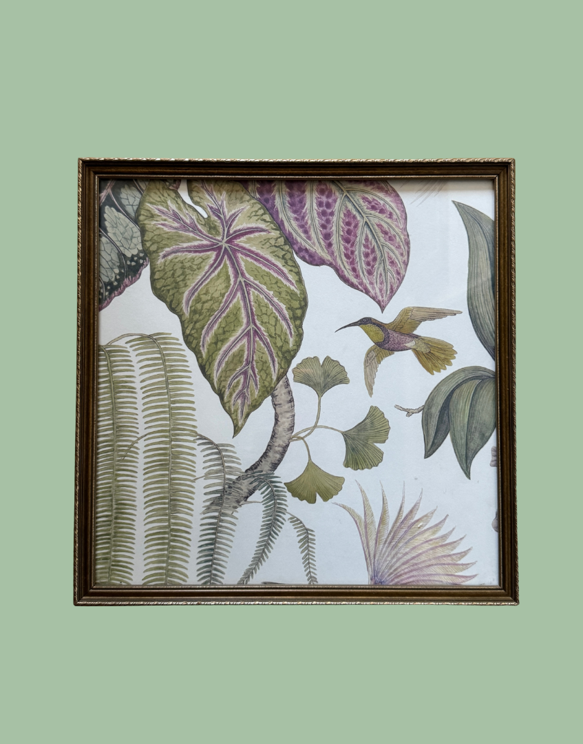 A framed botanical art print featuring a white background with detailed illustrations of tropical leaves, ferns, and a hummingbird, enclosed in a dark brown ornate frame against a solid sage green background.