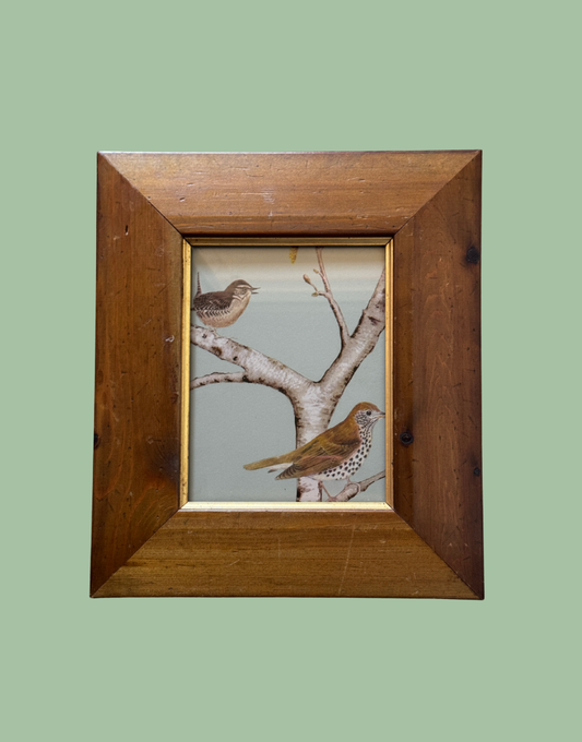 Sanderson 'Woodland Chorus' Sky Blue Wren & Thrush Pretty Print in Unique Brown & Gold Frame