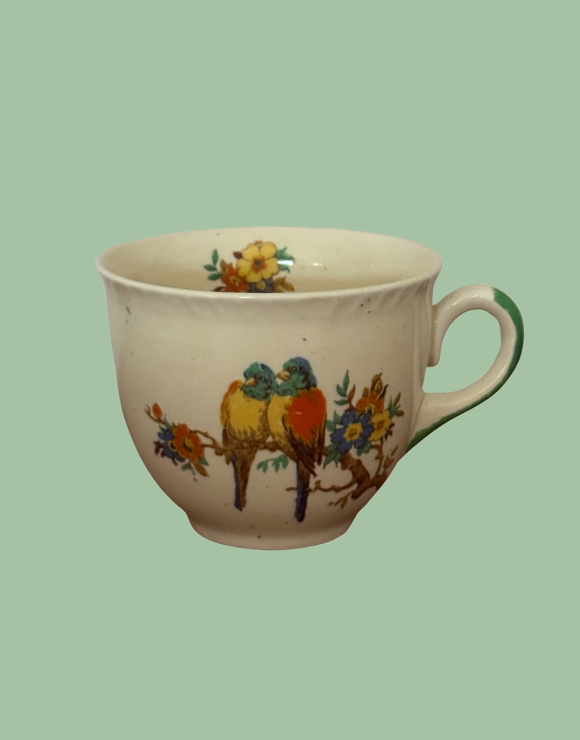 vintage saffordshire knot pottery parrot and floral tea cup