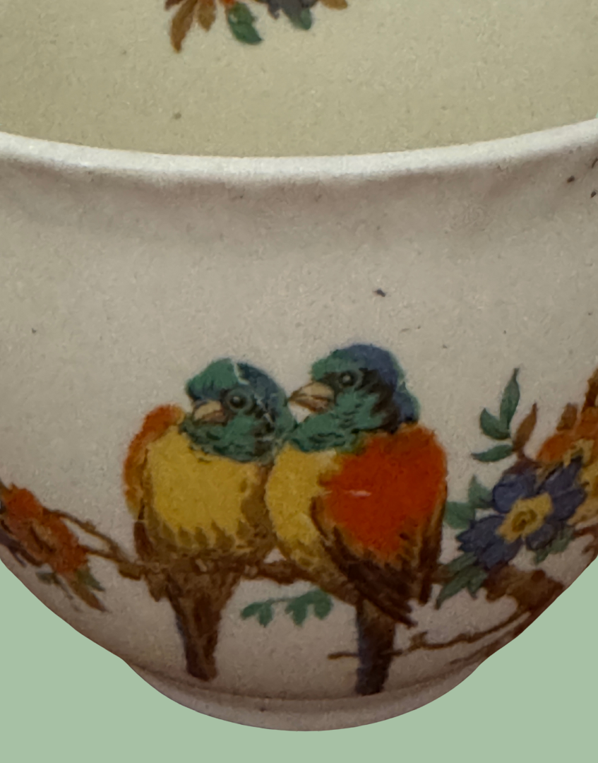 close up of orange, green and yellow parrot and floral illustration on vintage staffordshire knot pottery tea cup