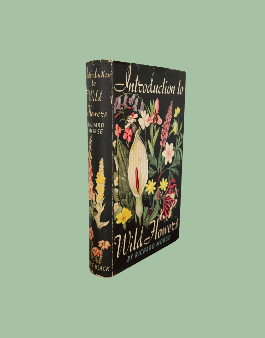 Side view of Introduction to Wild Flowers 1949 botanical book with original dust jacket