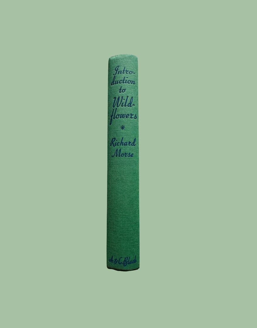 A vintage hardcover book titled 'Introduction to Wild Flowers' by Richard Morris, featuring a textured green spine with dark blue lettering, set against a solid sage green background.