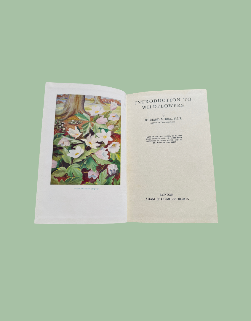 An open vintage book showing the title page for 'Introduction to Wildflowers' by Richard Marsh, with a floral illustration on the left page and cream-colored paper on a solid sage green background.