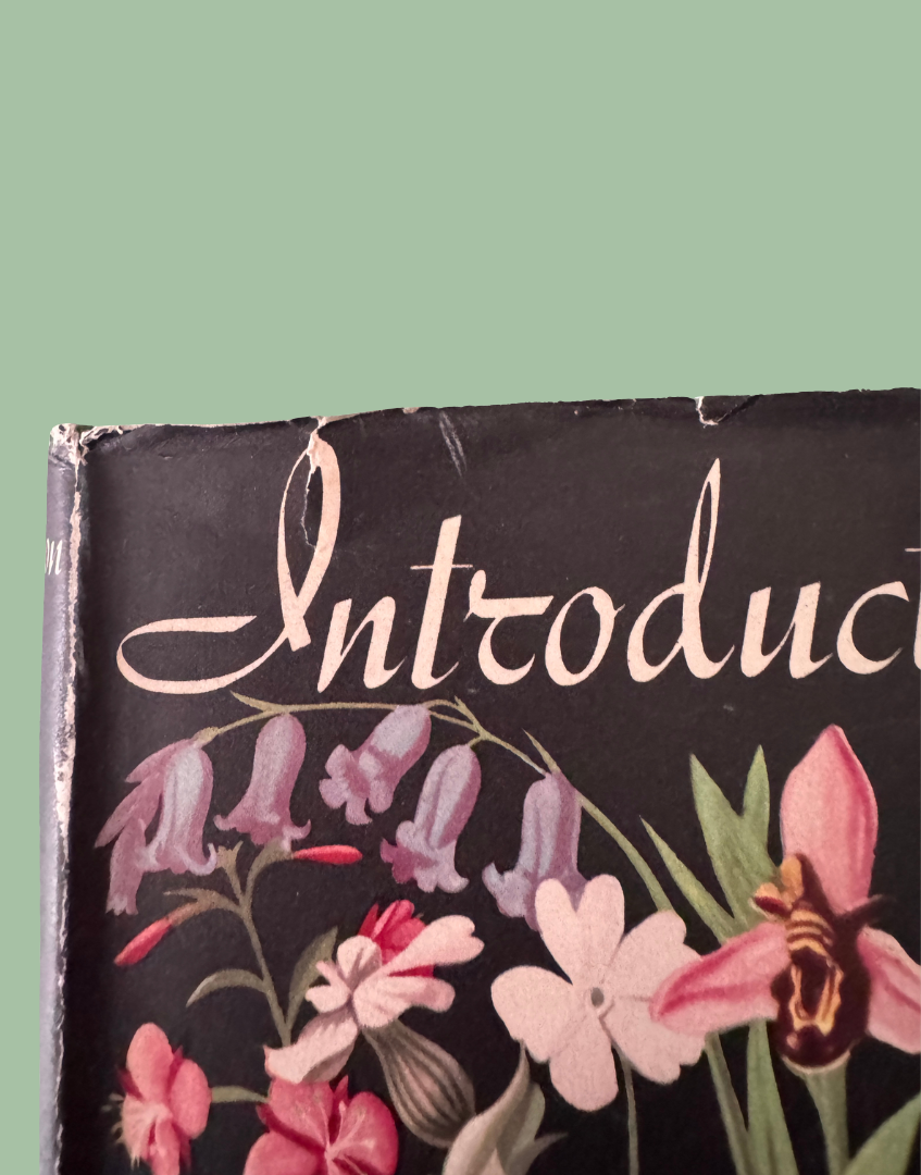 Close up showing two small tears to the top edge of the original 1949 dust jacket
