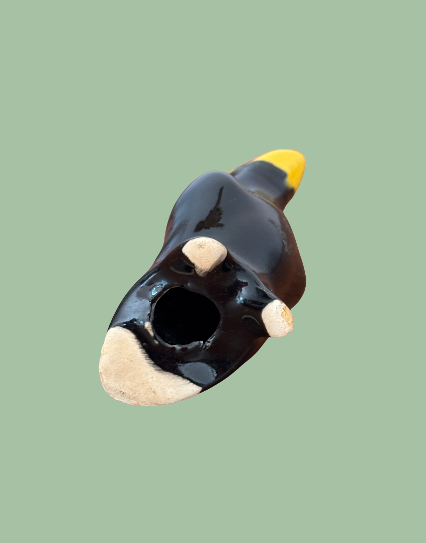 Base view of interior of pie funnel bird