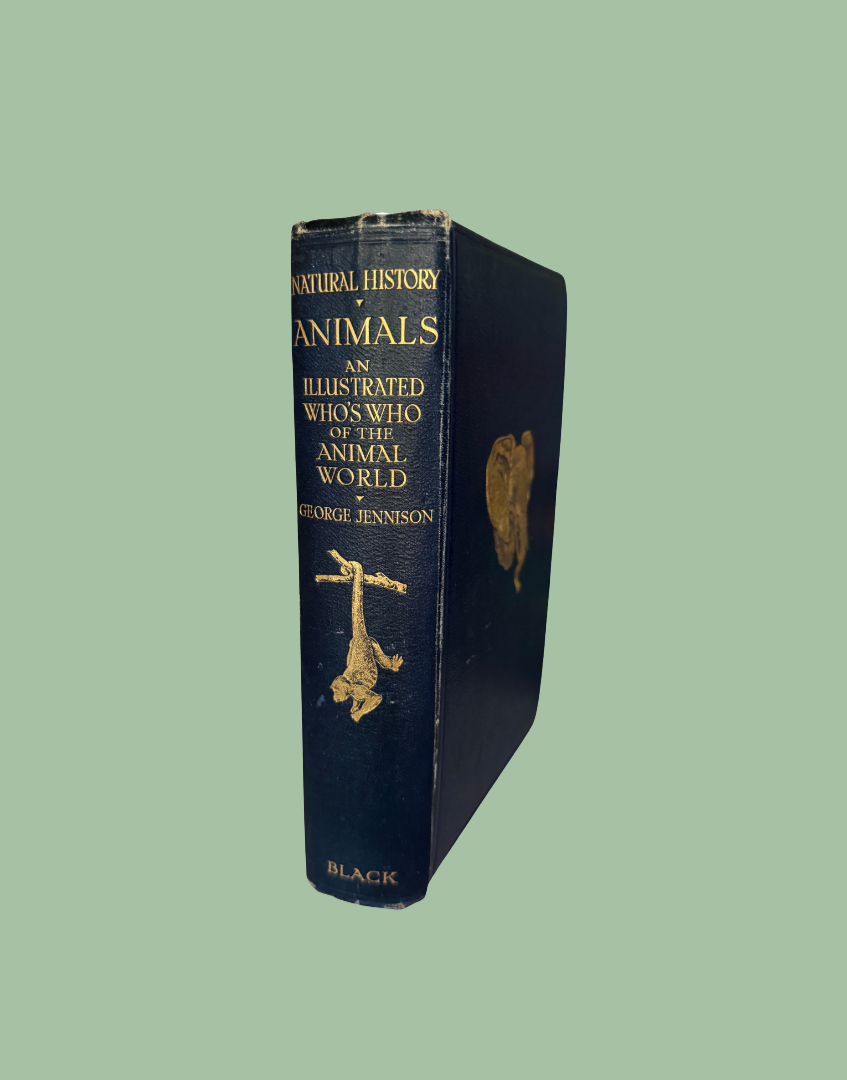 Navy leather spine of 1927 Natural History Animals book with decorative gilt monkey detail