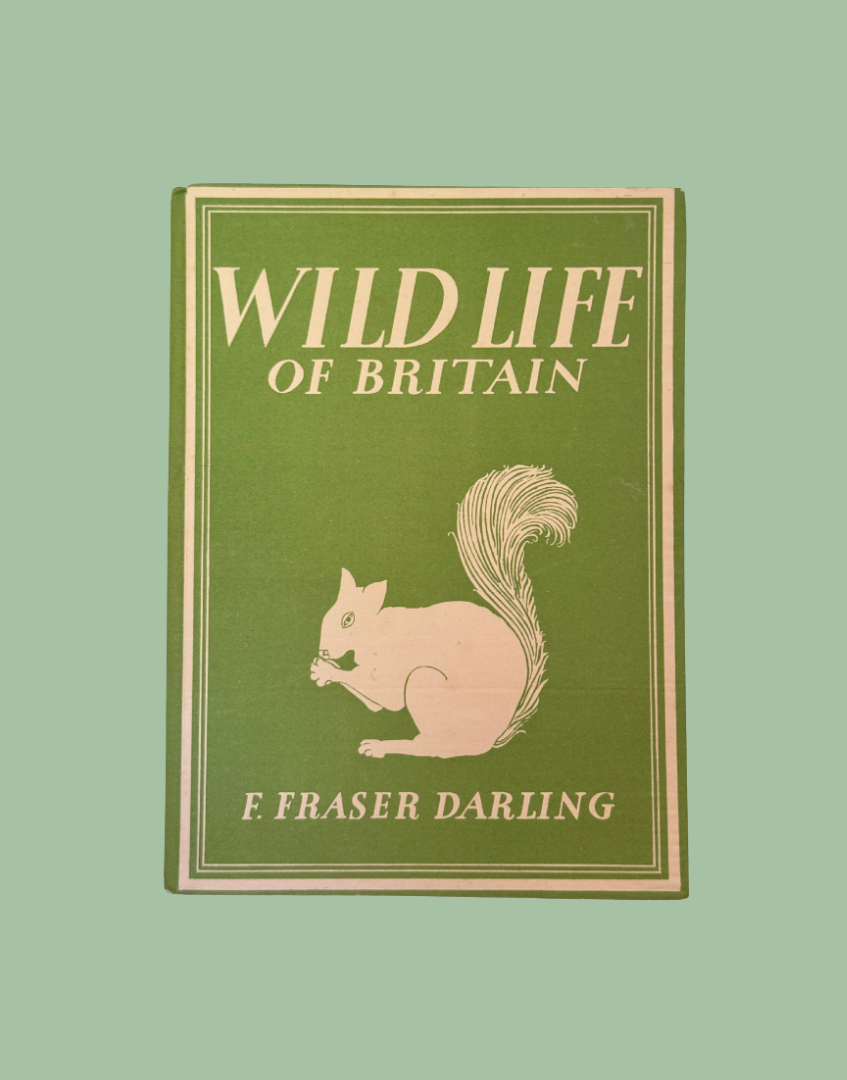 pple green cloth bound cover of Wild Life of Britain 1943 vintage natural history book without dust jacket