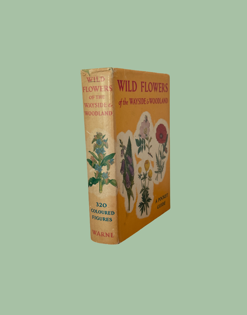 Vintage pocket guide book titled 'Wild Flowers of the Wayside & Woodland' by Warne, featuring a mustard yellow cover with botanical illustrations and a cream spine, shown on a solid sage green background.