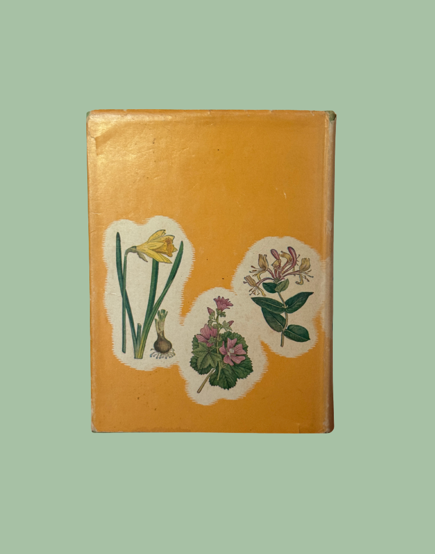 Back cover of Wild Flowers of the Wayside & Woodland vintage flower book with aged yellow dust jacket