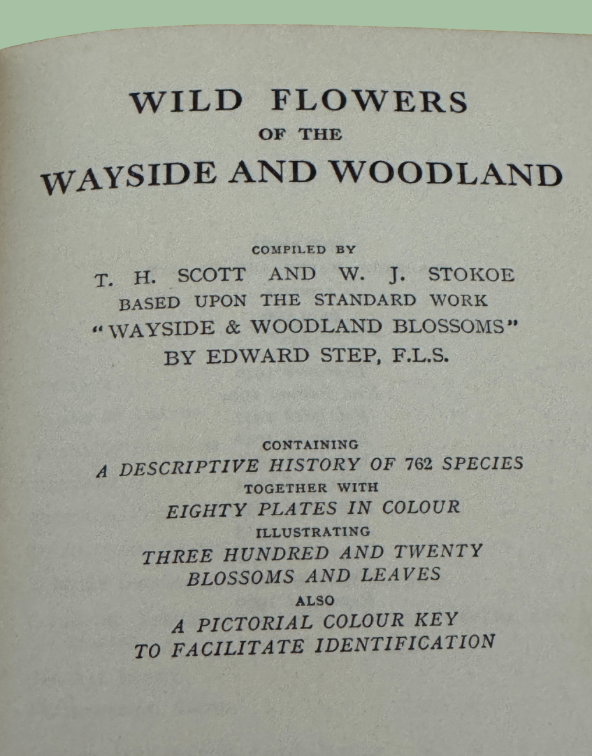 Title page of a book titled 'Wild Flowers of the Wayside and Woodland' by T. H. Scott and W. J. Stokoe.