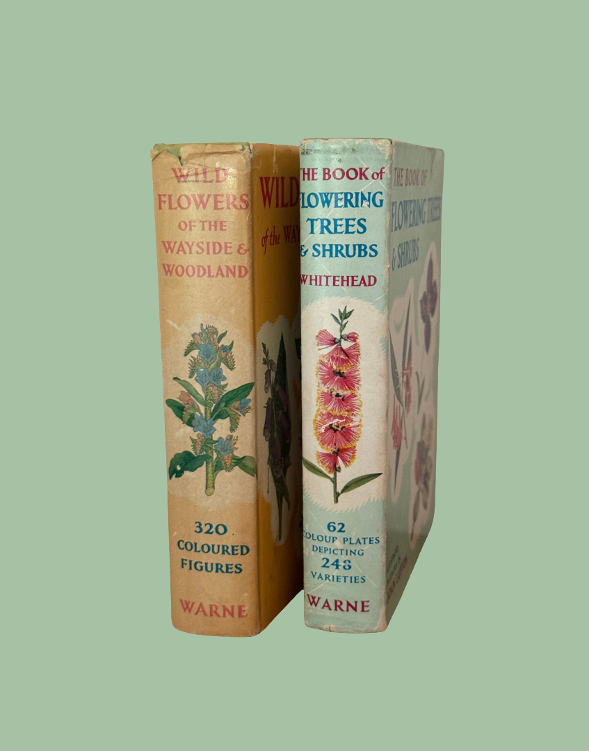 Yellow  and light blue spine detail of Frederick Warnes wild flower pocket guide  and flowering trees and shrubs pocket guide from the 1950s