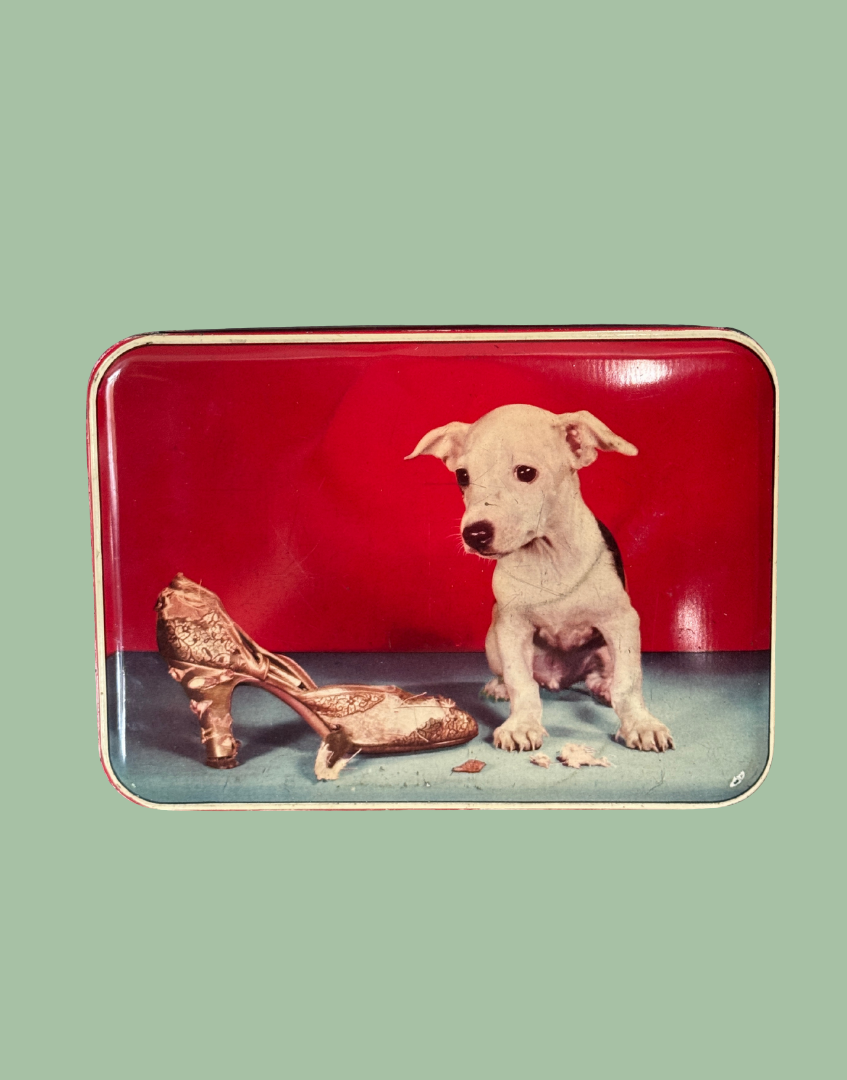 A rectangular tin with rounded corners, featuring a printed illustration of a small white puppy sitting beside a metallic gold high-heeled shoe against a red and blue background. The tin is centered on a solid sage green backdrop.