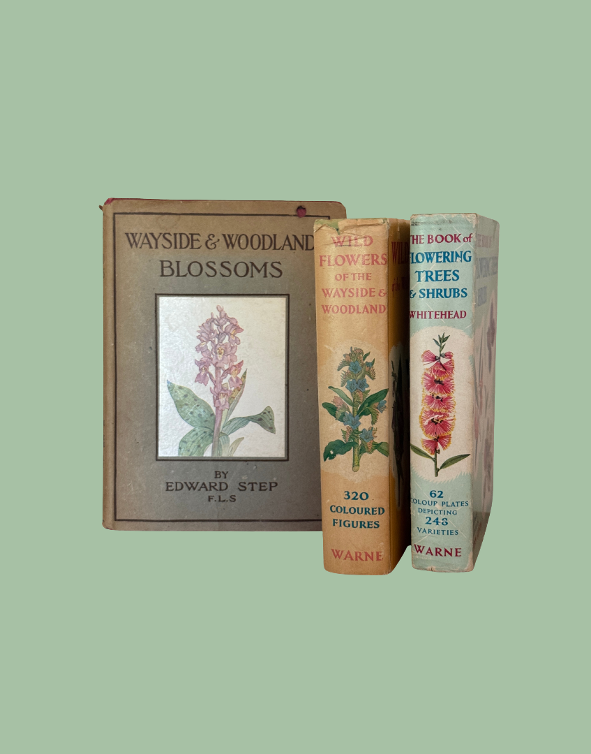Three vintage books on botany 