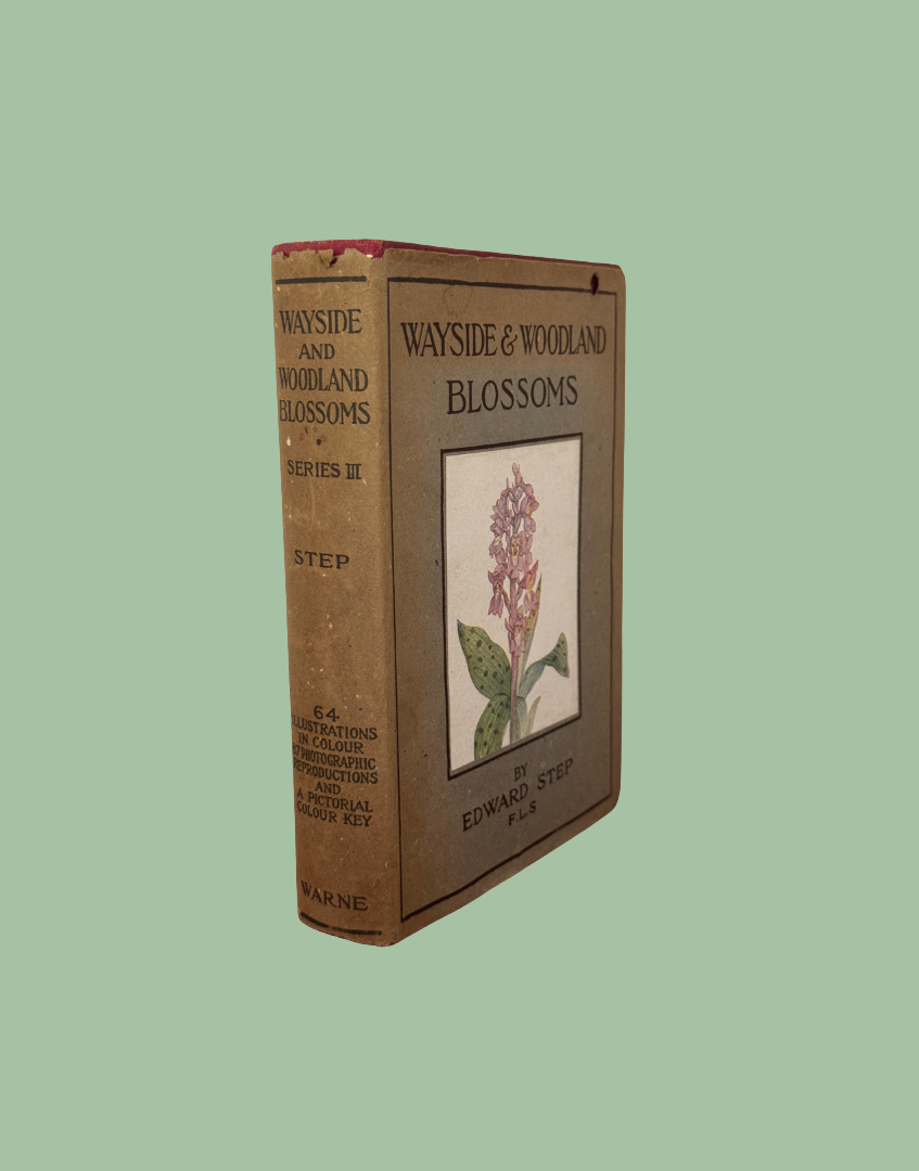 An antique hardcover book titled 'Wayside and Woodland Blossoms' by Edward Step, standing upright on a solid sage green background.