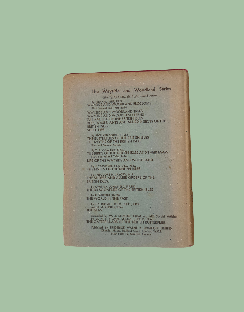 Back cover of Wayside and Woodland Blossoms vintage botanical hardback