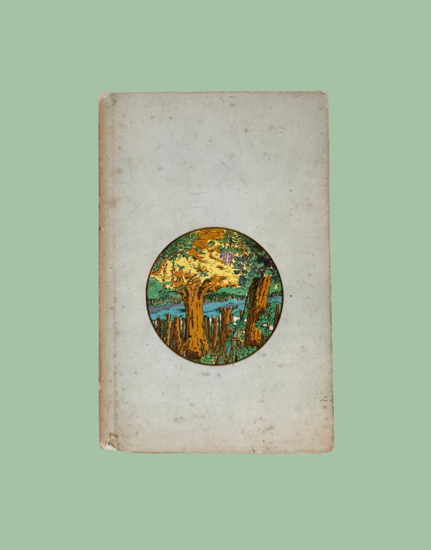 Rear dust jacket of vintage Flowers of the Country-Side Young Naturalist book.