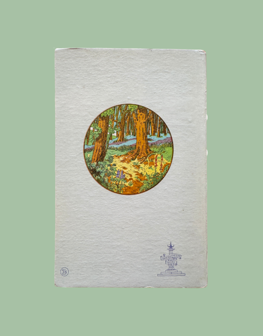 Plain hardback rear cover of vintage Young Naturalist flower book.
