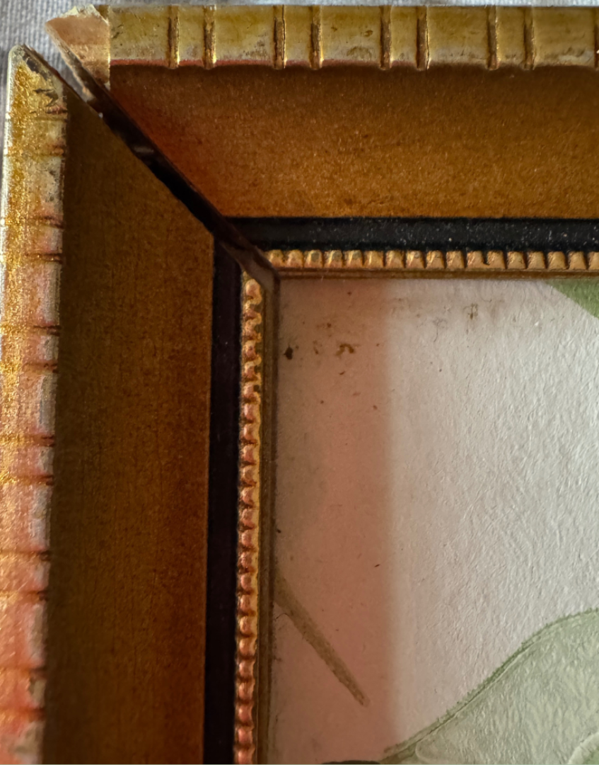 Close-up of a decorative picture frame corner showing a textured gold and bronze beaded border with a light-colored artwork visible inside.