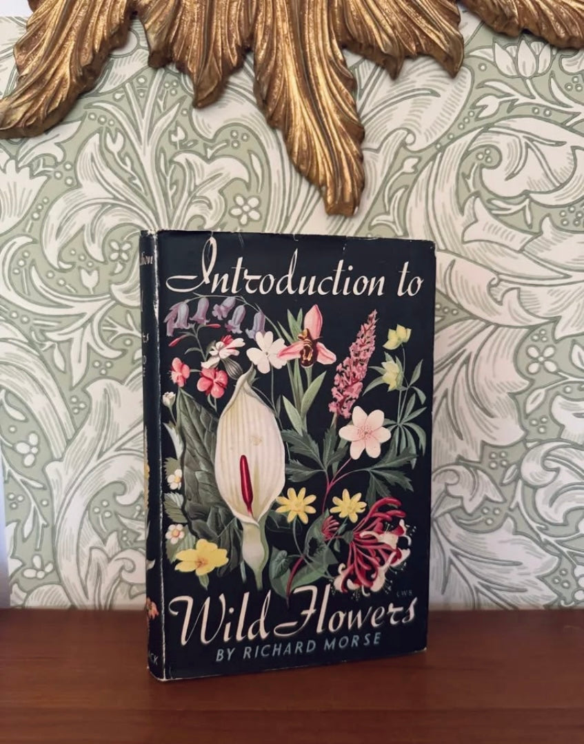 A vintage hardcover book titled 'Introduction to Wild Flowers' by Richard Morse, featuring a dark cover decorated with colorful wildflowers, set on a wooden surface against a patterned wallpaper background.