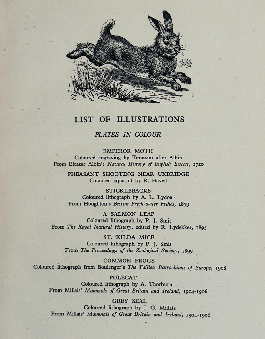 Contents page listing colour plate wildlife illustrations in Wild Life of Britain 1943 vintage natural history book