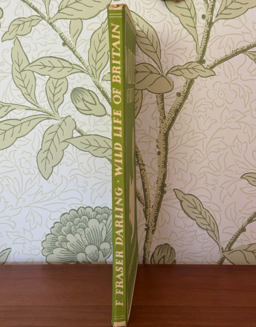Spine of 1943 Wild Life of Britain vintage hardback natural history book in apple green cloth binding