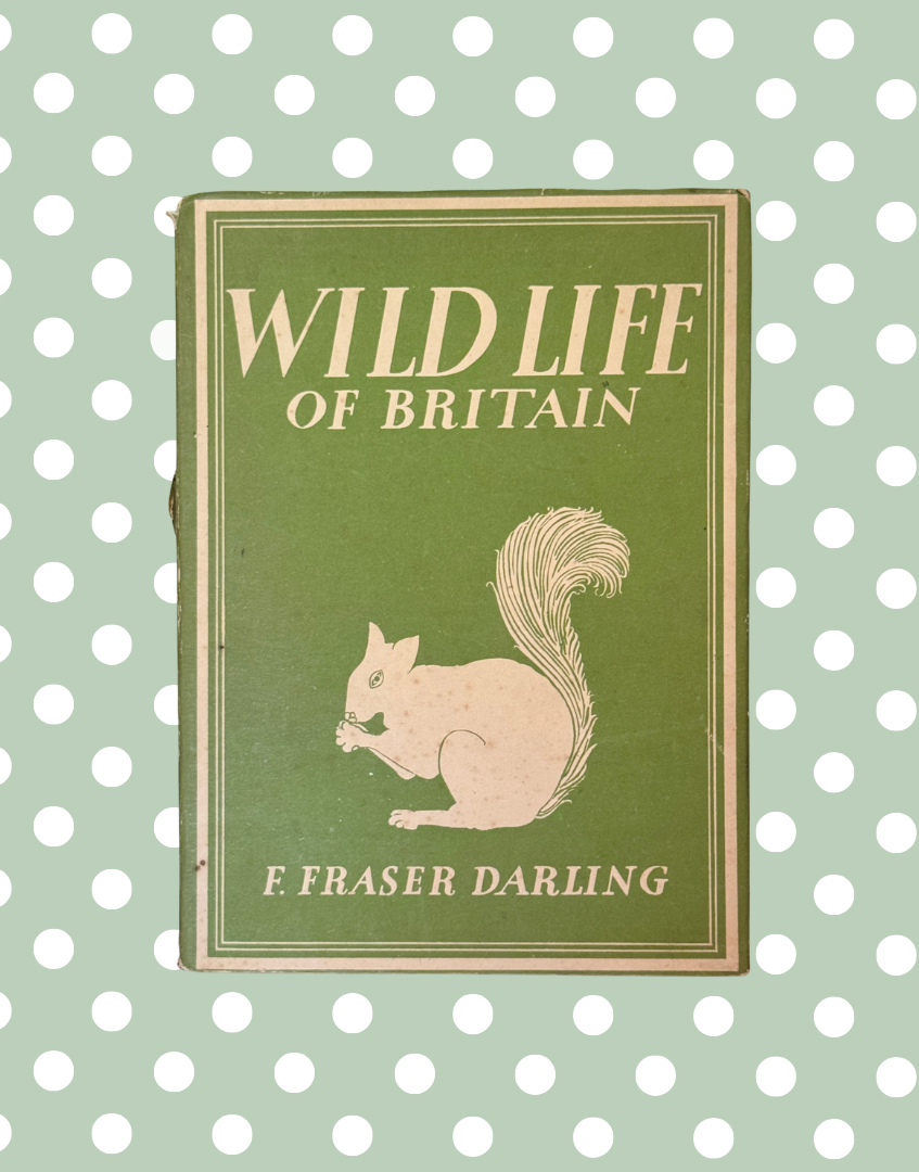 Wild Life of Britain 1943 vintage natural history book with woodland squirrel dust jacket by F Fraser Darling