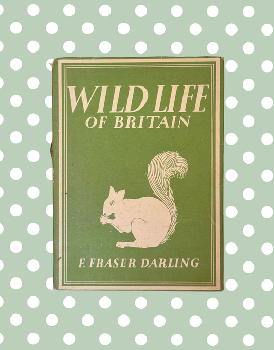 Wild Life of Britain 1943 vintage natural history book with woodland squirrel dust jacket by F Fraser Darling