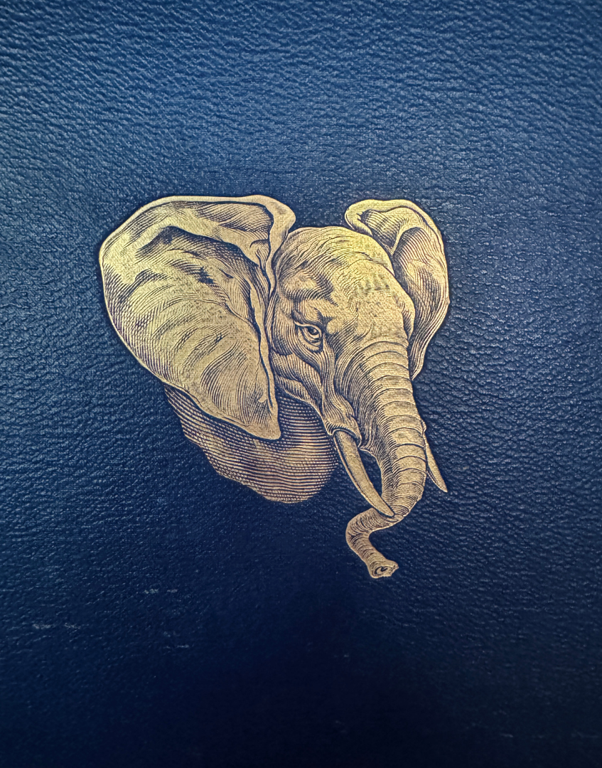Close up of gilt elephant decoration on the navy blue leather front cover of a 1927 natural history book