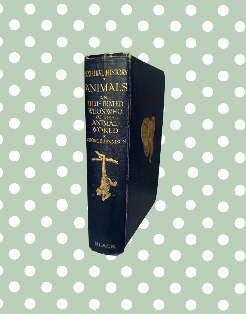 Navy leather spine of 1927 Natural History Animals book with decorative gilt monkey detail