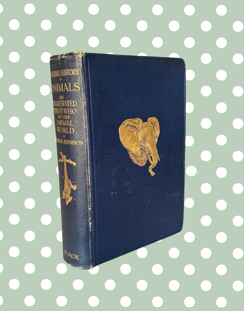 Side view of antique 1927 natural history book showing navy leather binding and aged book edges