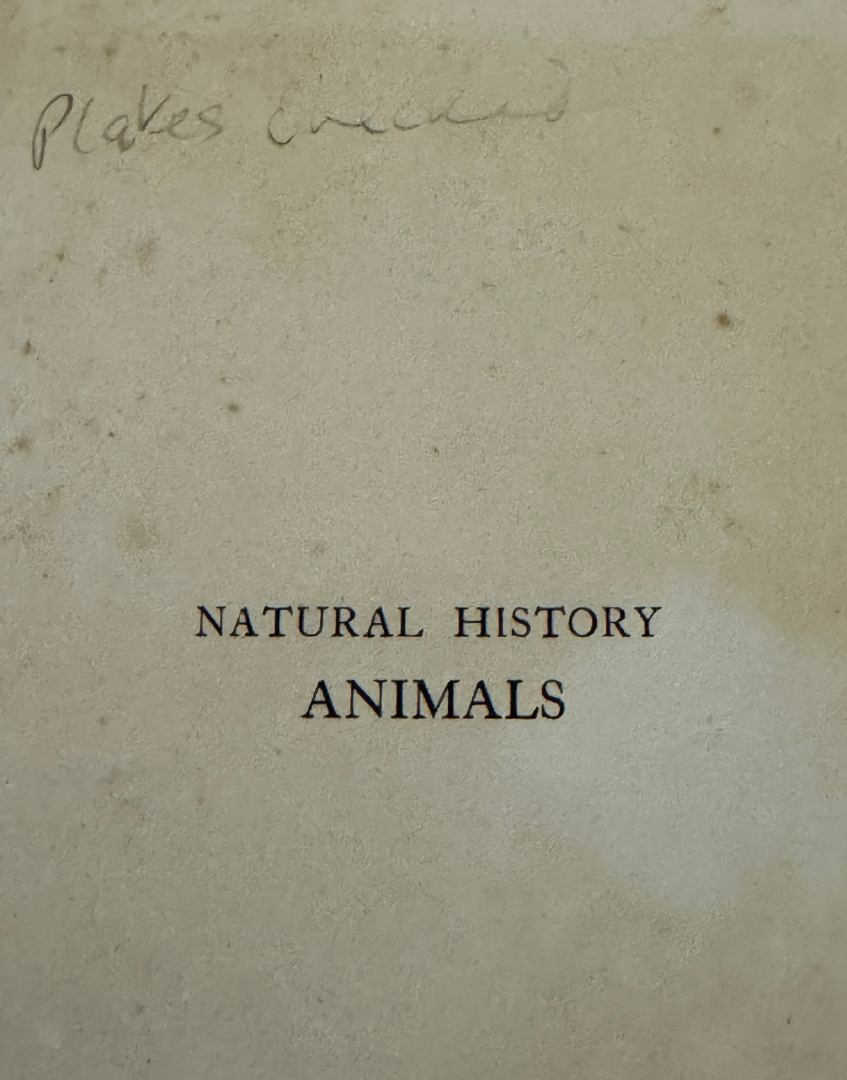 Inside page of antique 1927 natural history book showing light handwritten pencil text and age-related paper discolouration