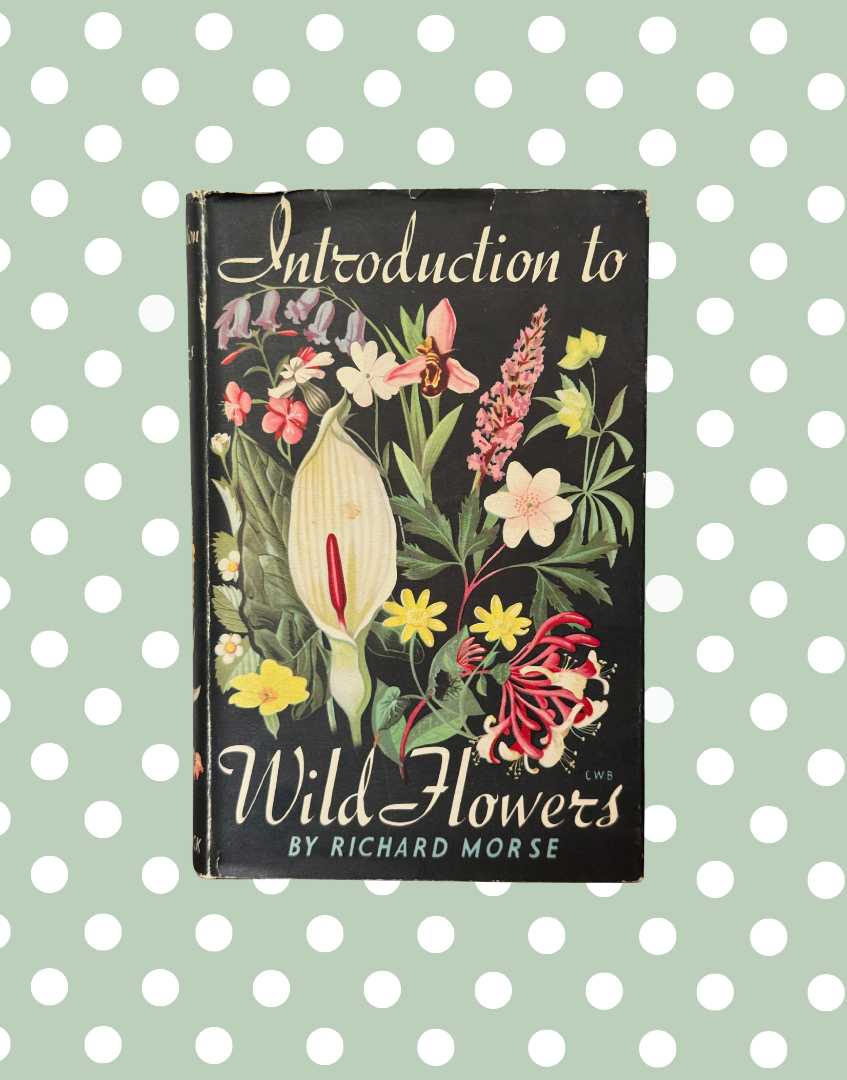 Vintage 1949 botanical book with original illustrated dust jacket and colourful wild flower artwork