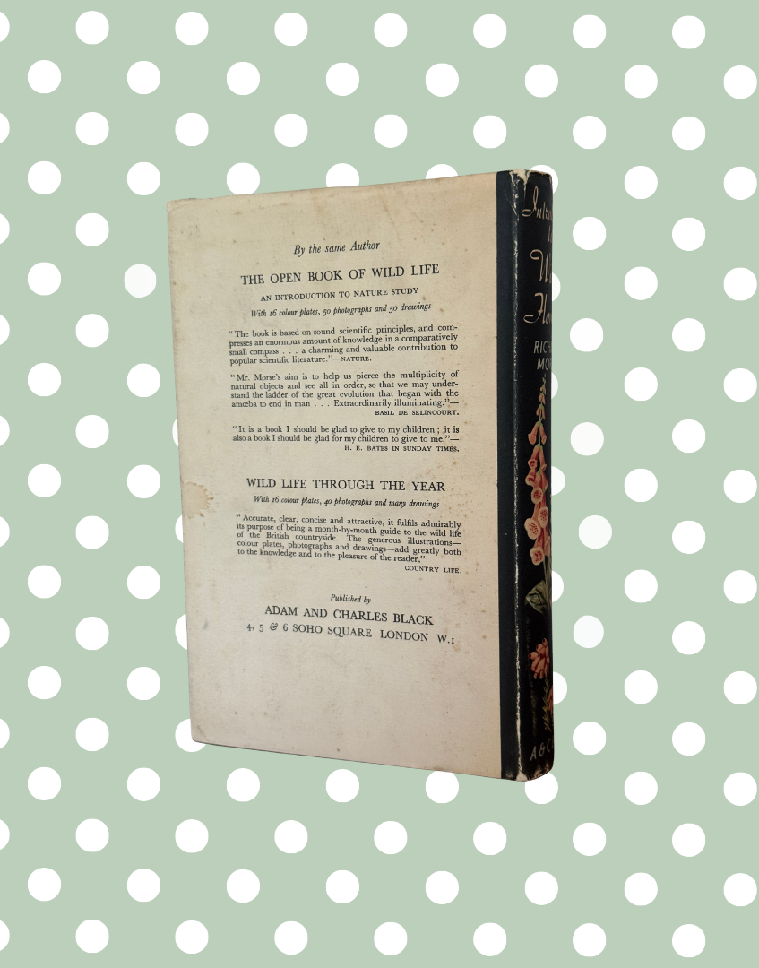 Back cover of 1949 Introduction to Wild Flowers botanical book with original dust jacket