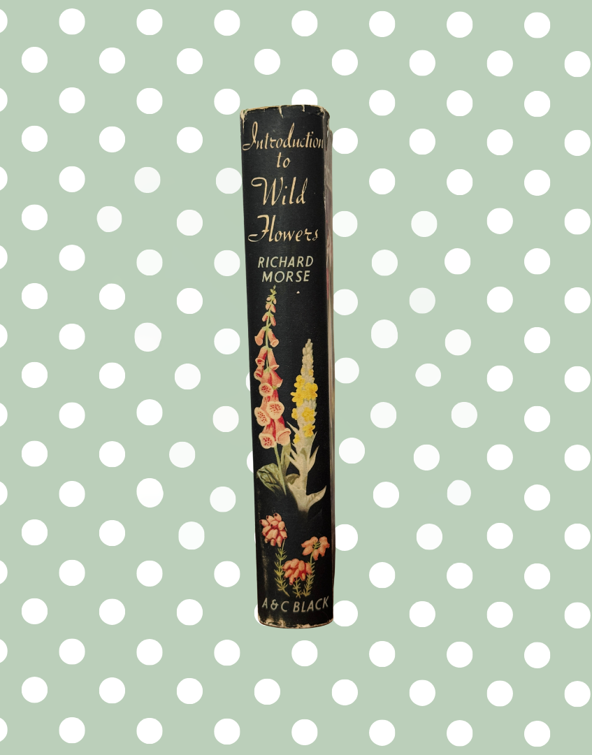 Spine of Introduction to Wild Flowers by Richard Morse with original 1949 dust jacket