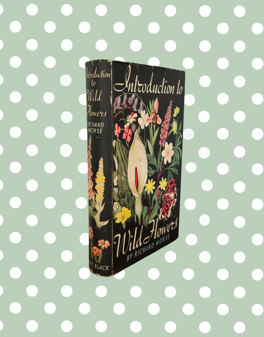 Side view of Introduction to Wild Flowers 1949 botanical book with original dust jacket