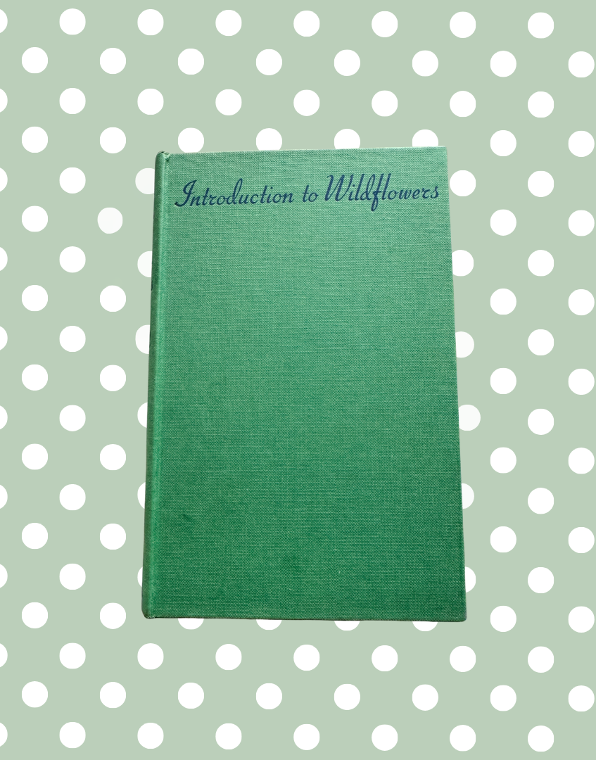 Green canvas front cover of Introduction to Wild Flowers by Richard Morse with blue lettering