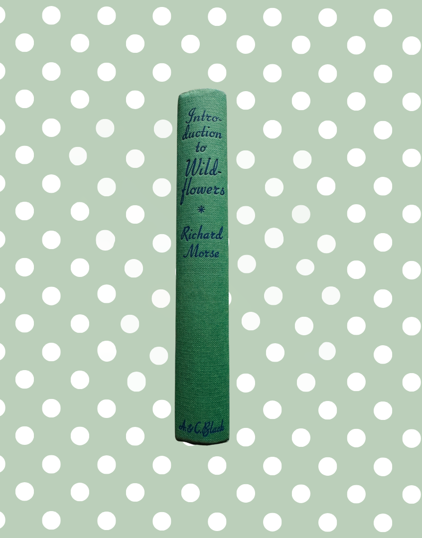 Green canvas spine of the 1949 Introduction to Wild Flowers botanical book without dust jacket