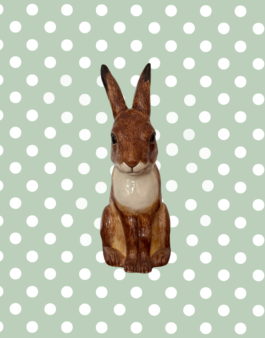 Front View Showing the Hare’s Characterful Form