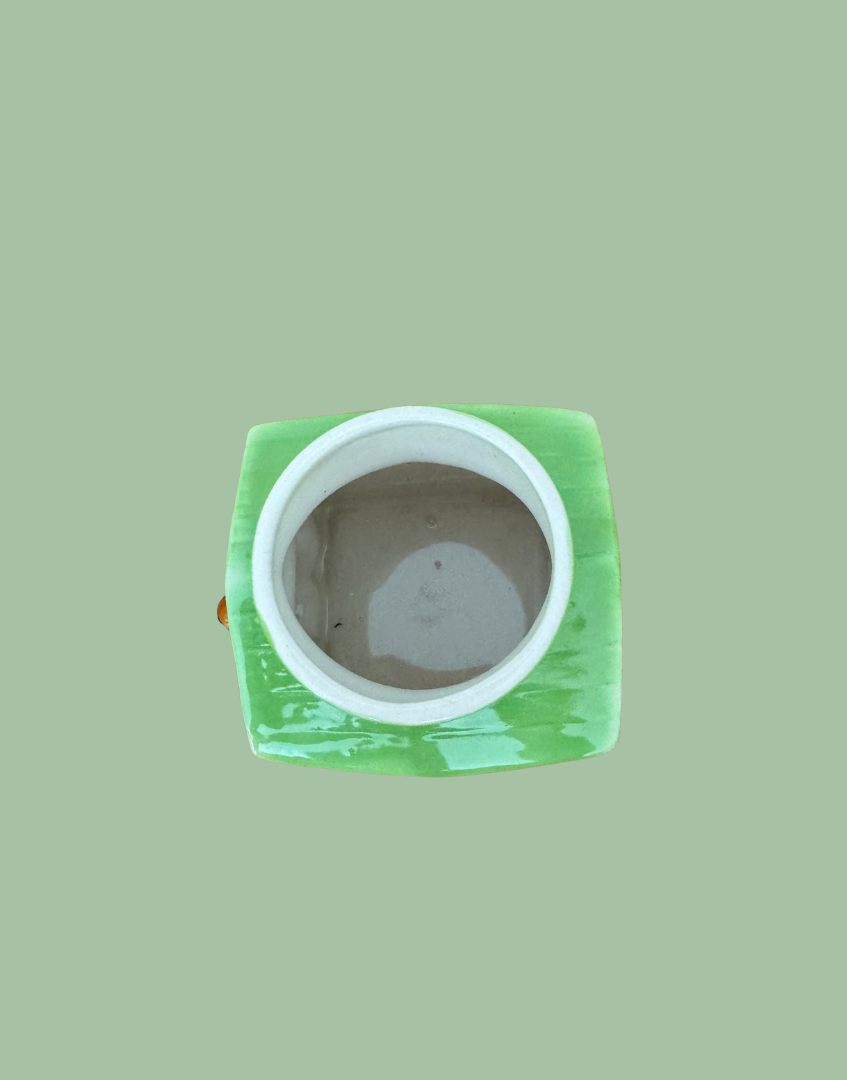 Overhead view of Tony Wood dog in kennel egg cup showing the circular cream interior and surrounding apple green roof.