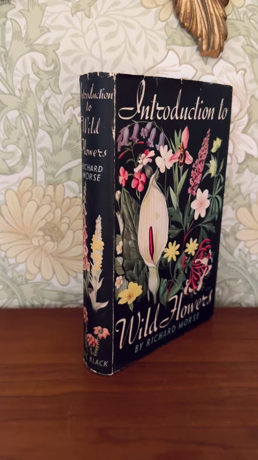 Introduction to Wild Flowers by Richard Morse, 1949 Illustrated Botanical Book