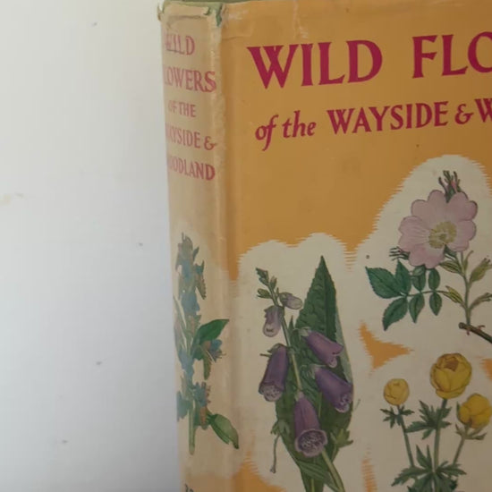 Video showing vintage Wild Flowers of the Wayside & Woodland botanical pocket guide with yellow dust jacket and illustrated floral cover