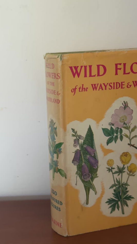 Wild Flowers of the Wayside & Woodland 1950s Vintage Botanical Pocket Guide