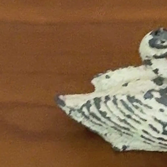 Charming Small White Swan with Neck Back | 1920s Britains Hand-Painted Lead Collectible