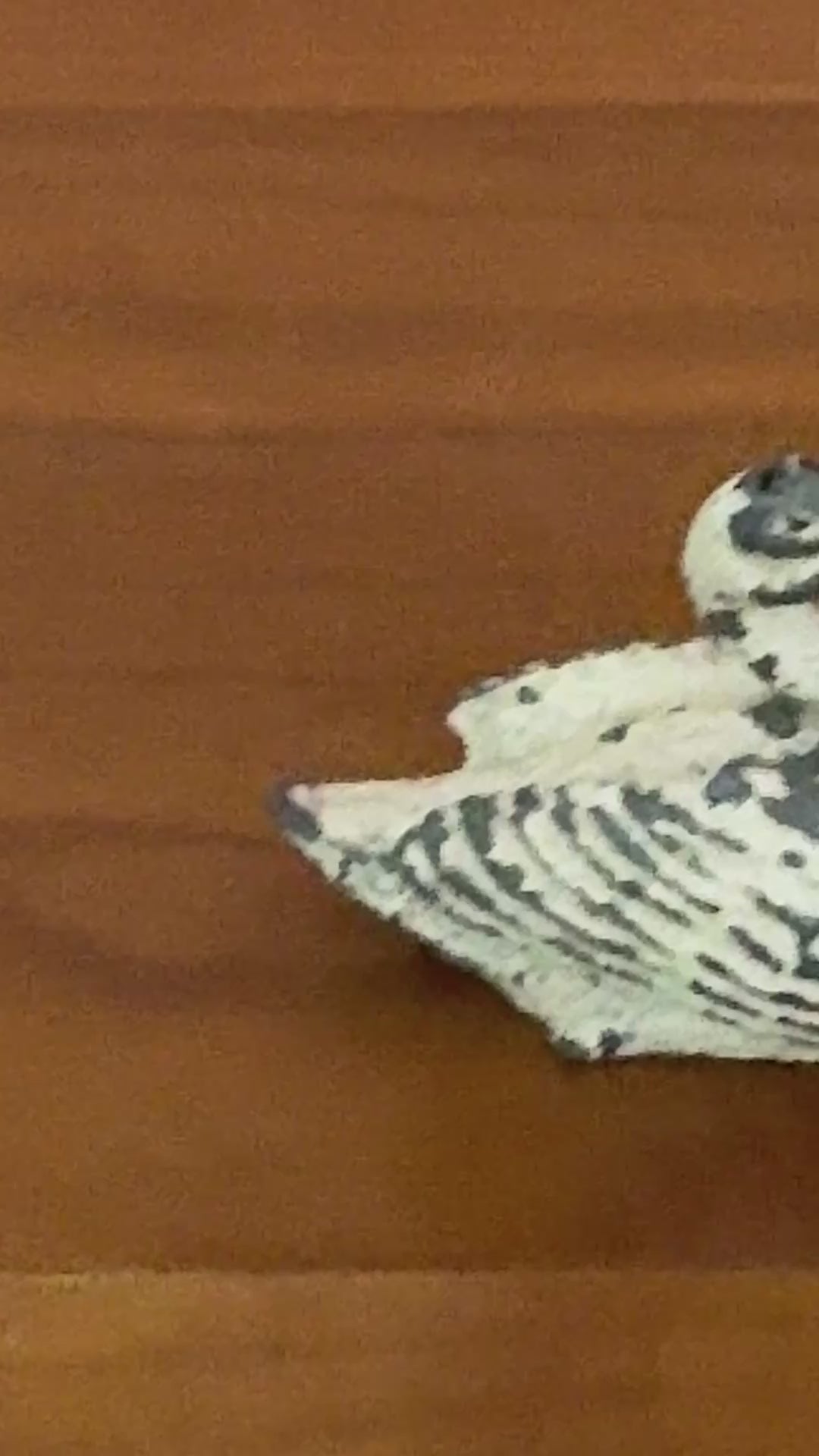 Charming Small White Swan with Neck Back | 1920s Britains Hand-Painted Lead Collectible