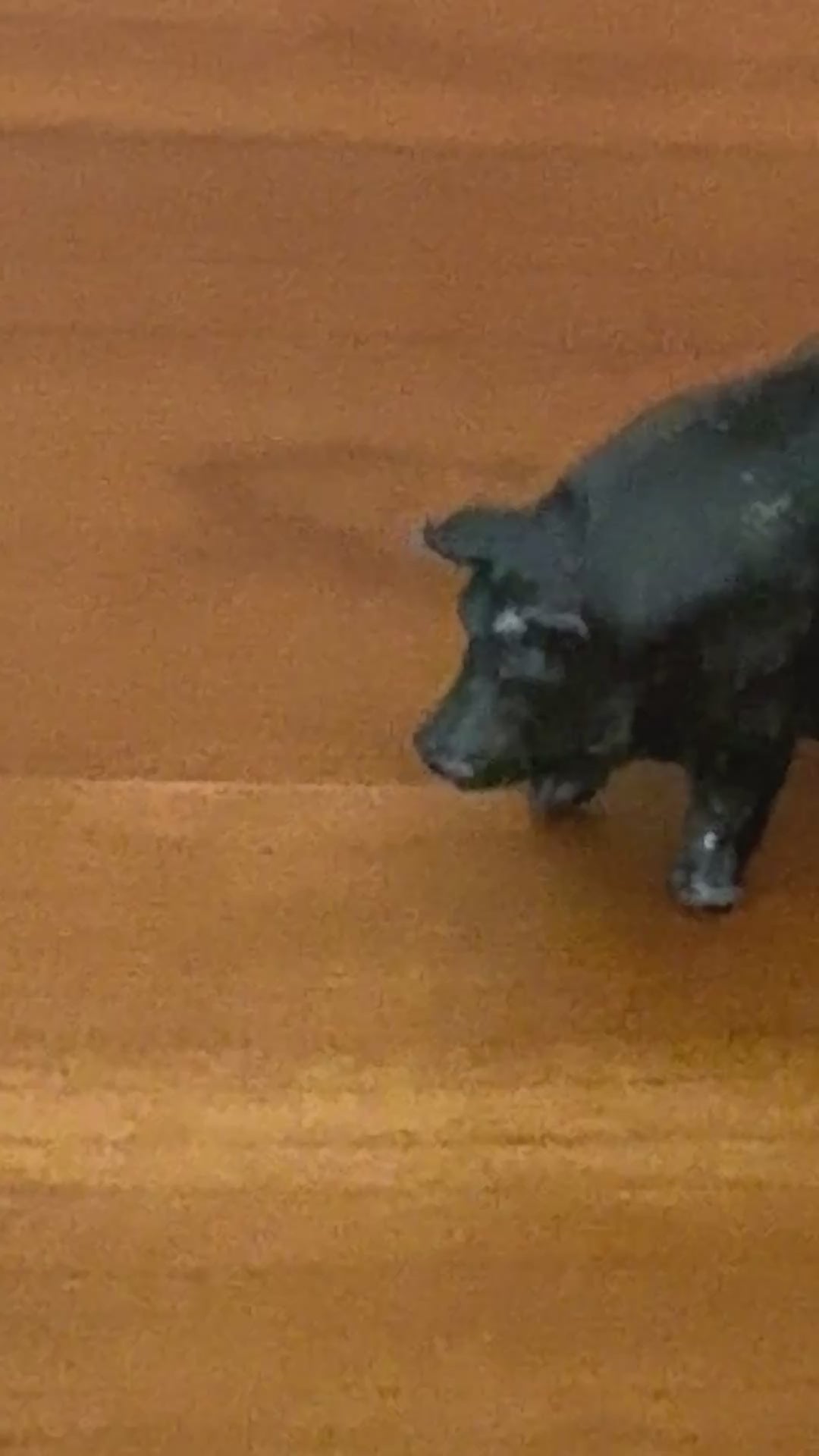 Medium Black Pig Figurine | John Hill & Co Farm & Countryside Lead Toy Collectable 1920s 