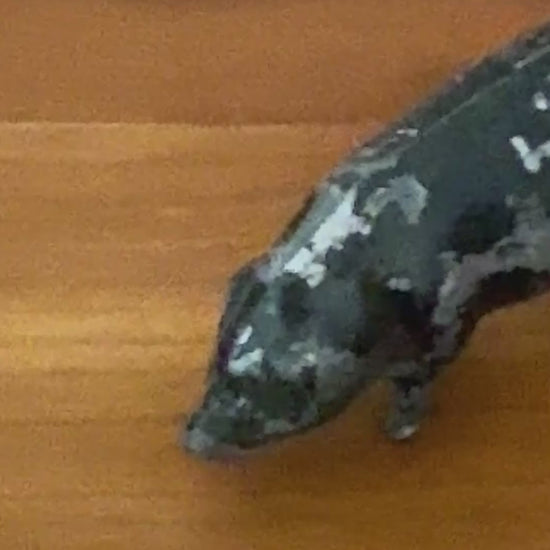 Charming Medium Black Pig With Aged Patina | Britains Ltd Farm & Countryside Lead Toy Collectable 1920s