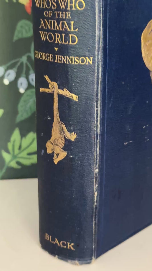 Vintage 1927 Natural History Animals leather bound book showing decorative gilt detailing and antique character