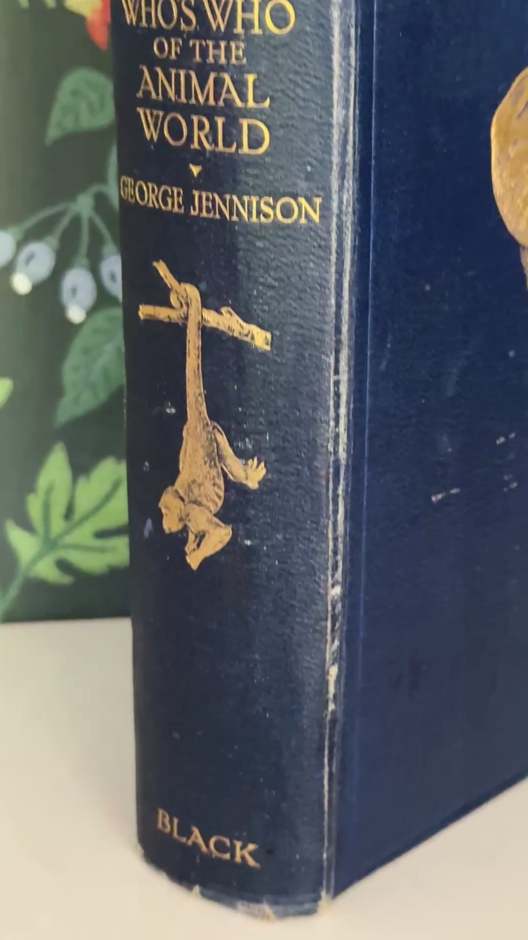 Vintage 1927 Natural History Animals leather bound book showing decorative gilt detailing and antique character