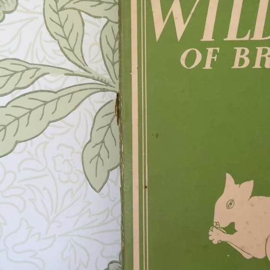 Front cover of 1943 Wild Life of Britain vintage illustrated wildlife book with original woodland squirrel dust jacket